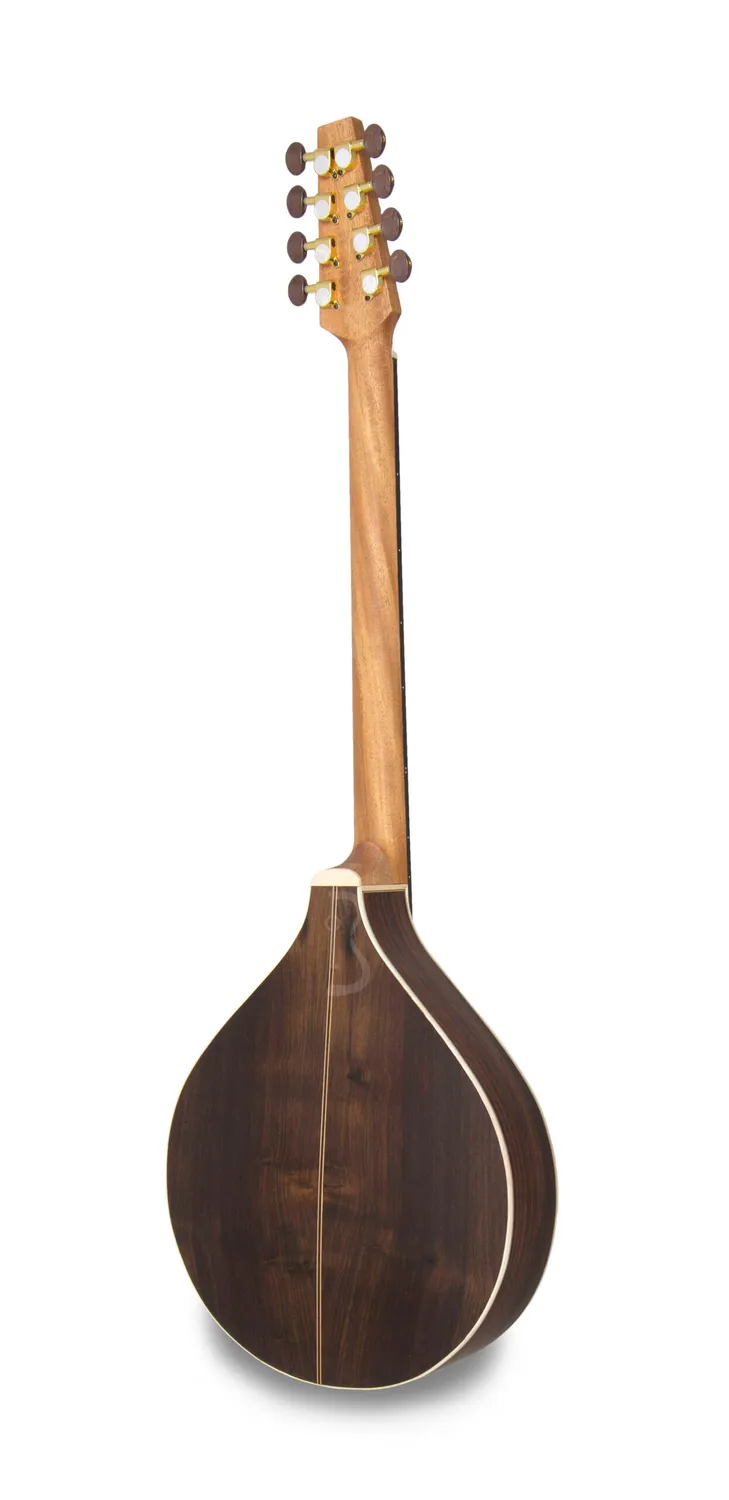 APC IRB312 Irish Bouzouki Fichte Palisander massiv