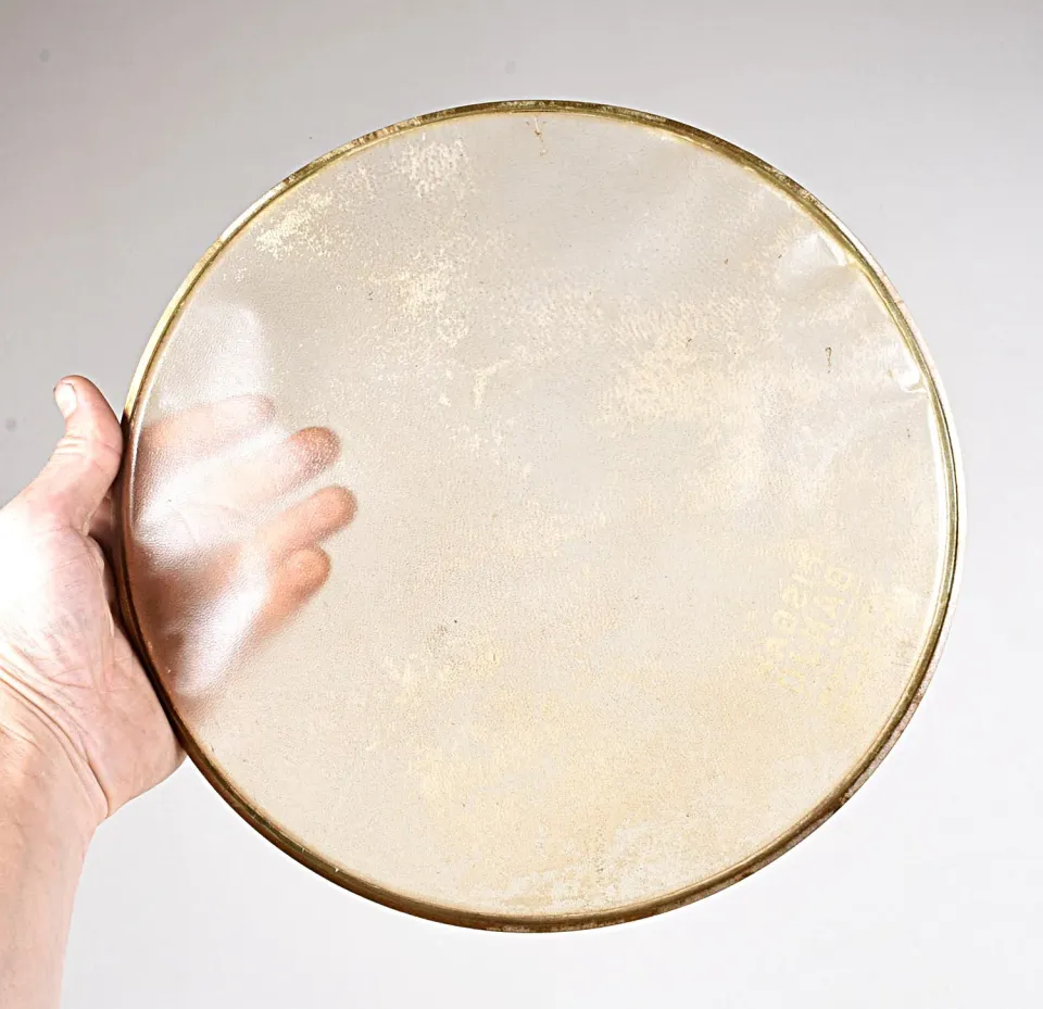 Pisgah JS#41 Banjofell 11 Zoll Kalb translucent vormontiert