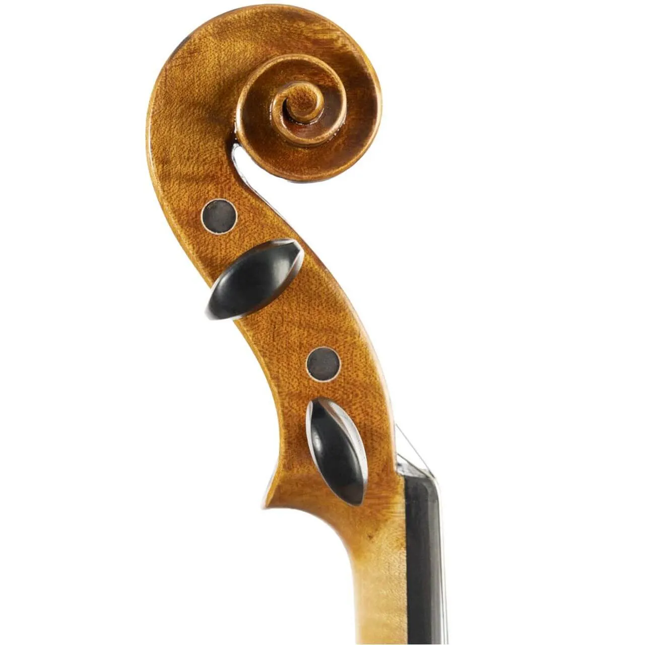 Franz Hoffmann Concert Fiddle Geige 4/4 DAddario Folk hell
