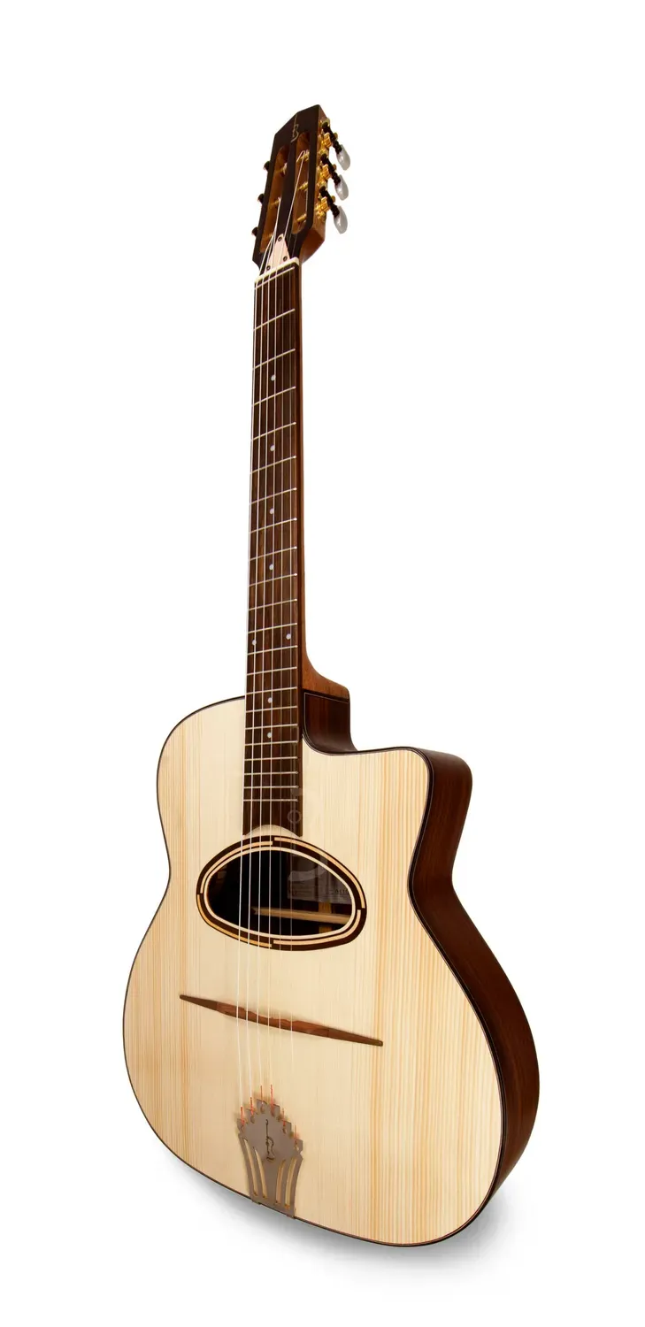APC JMD300 PSI Gitarre Palisander massiv offenporig