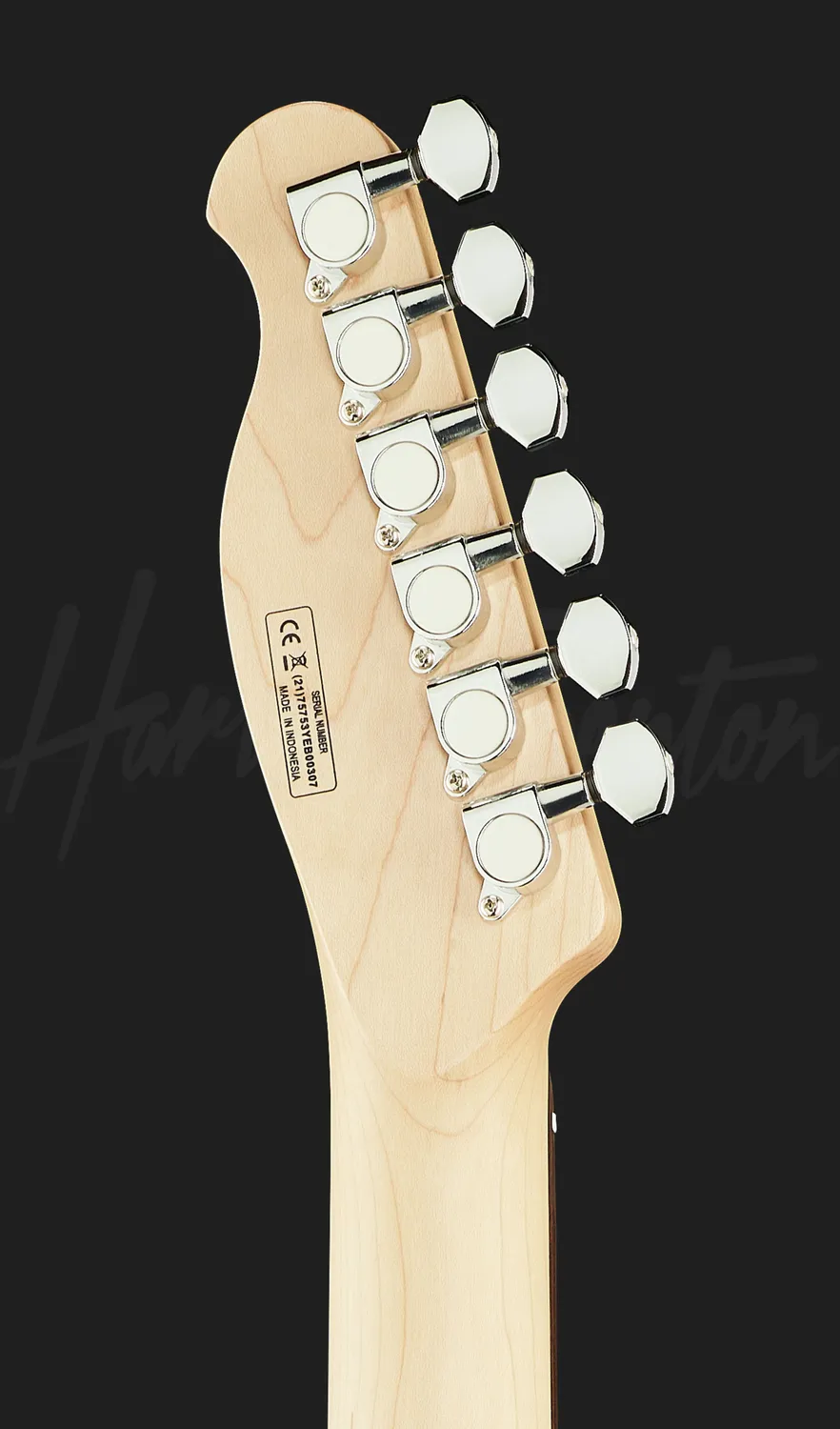 Harley Benton Classic TE-90QM E-Gitarre Trans Blue F-Hole