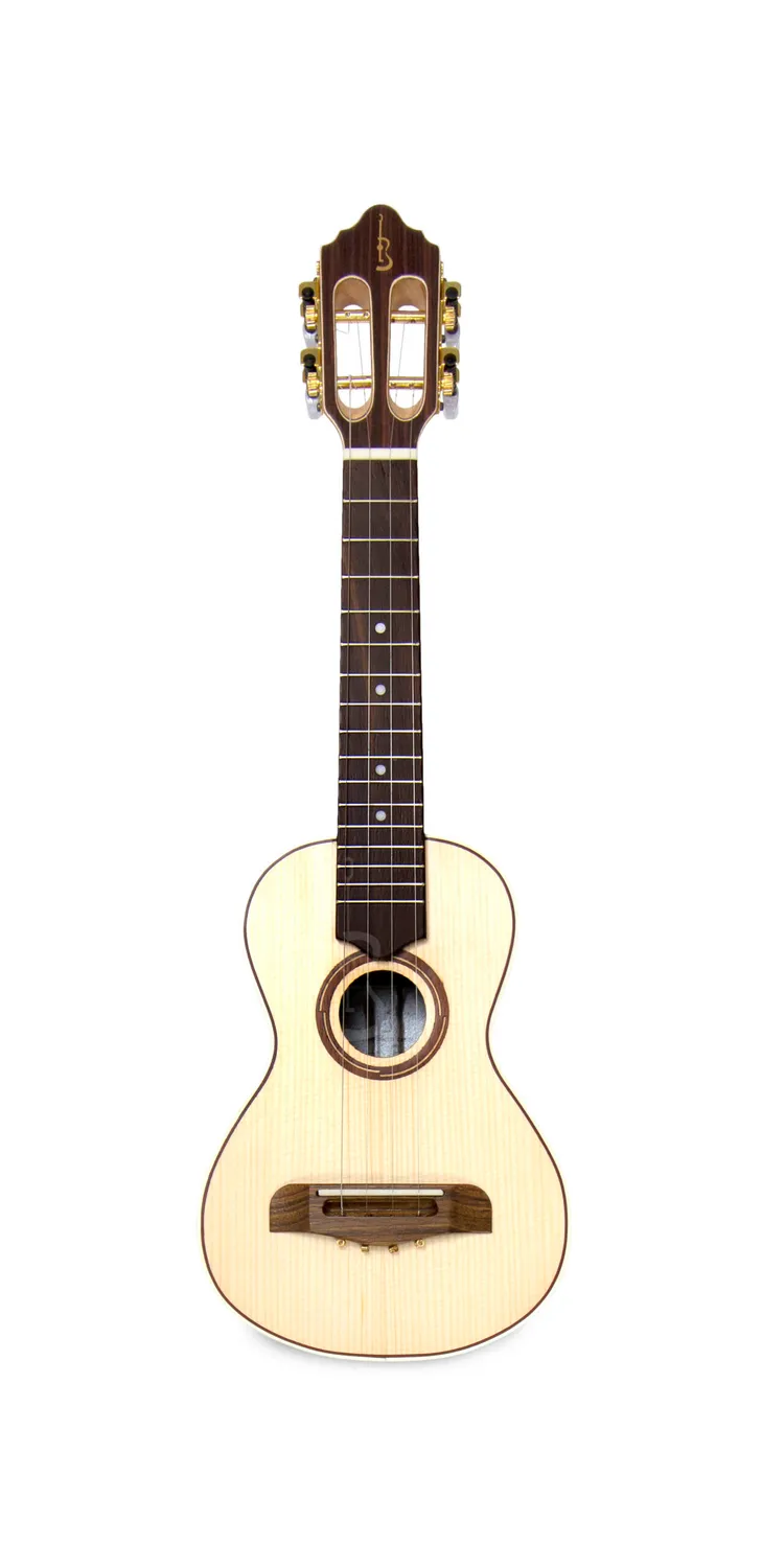 APC BRA Luthier Viola Braguesa Fichte Palisander