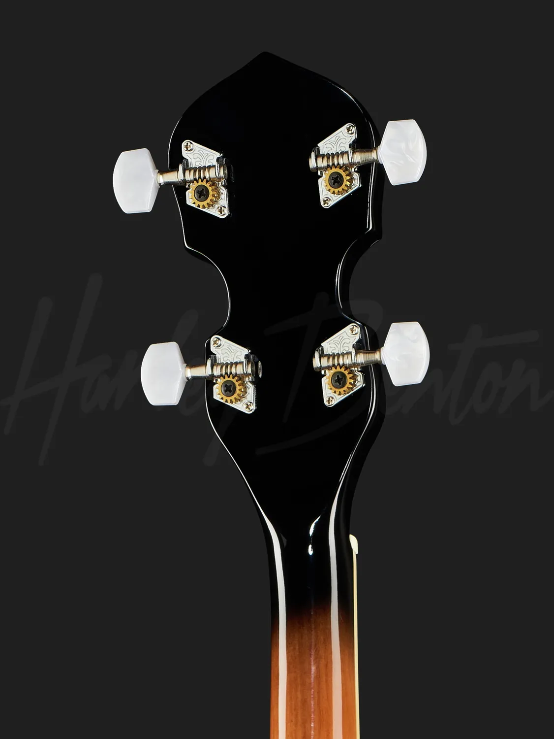 Harley Benton Bluegrass BJO-35Pro Banjo 5-saitig