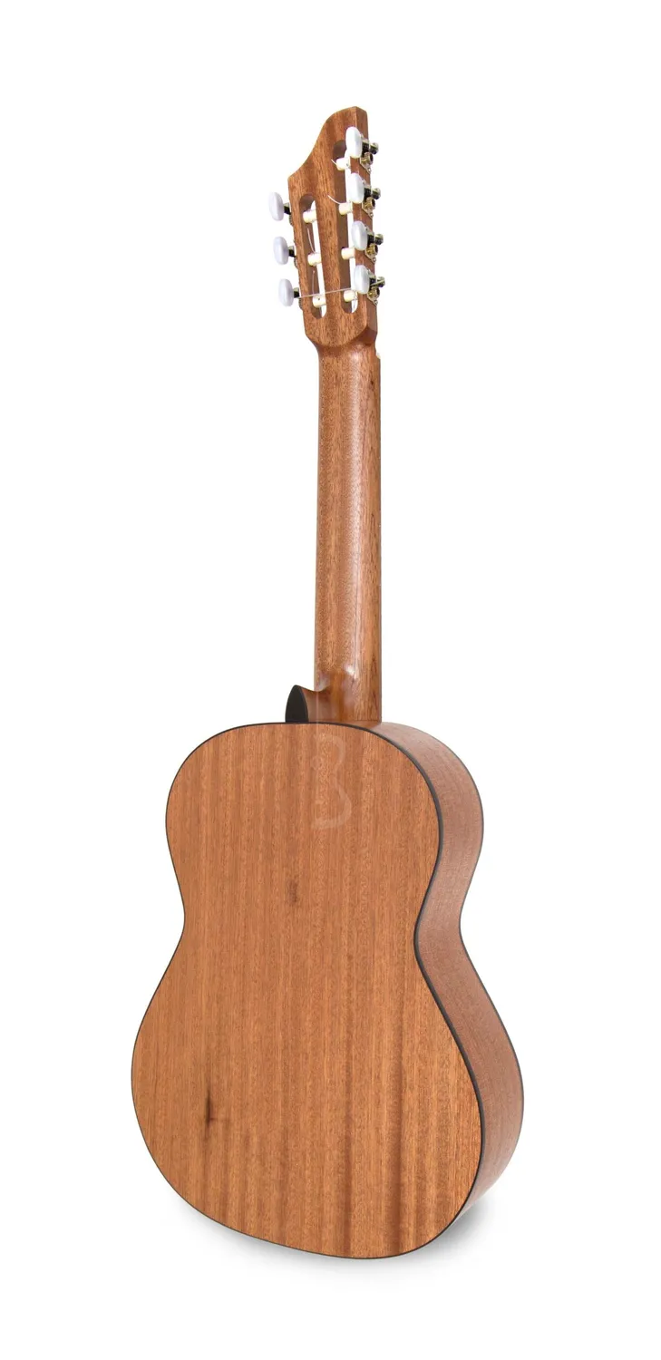 APC 1S 7 STR Gitarre 7-saitig Fichte Sapelli