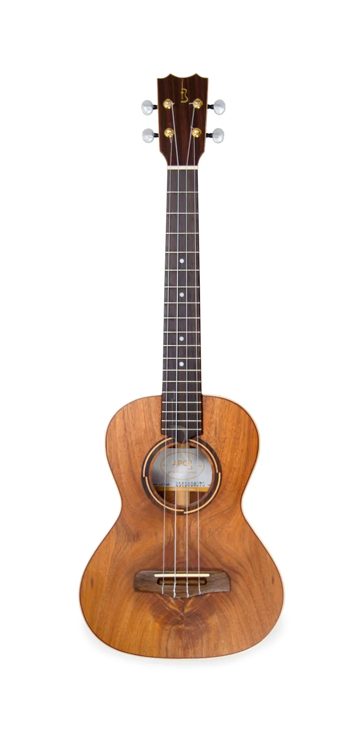 APC LG T MP Fadogitarre Koa massiv