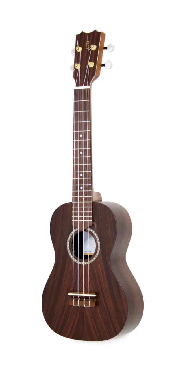 APC C RW Cavaquinho Palisander massiv offenporig