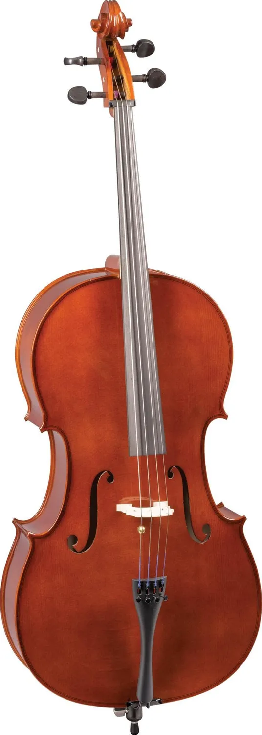 Franz Hoffmann Danube Cello 4/4 gebraucht Fichte