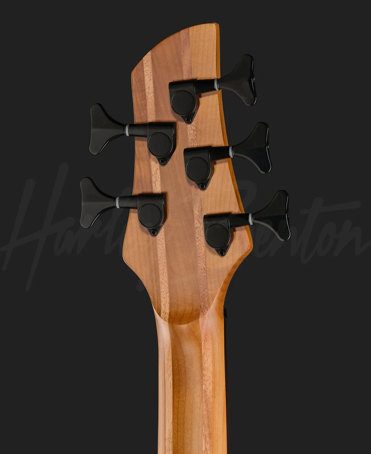 Harley Benton MSB-5 E-Bass Black Flame Burl 5-saitig
