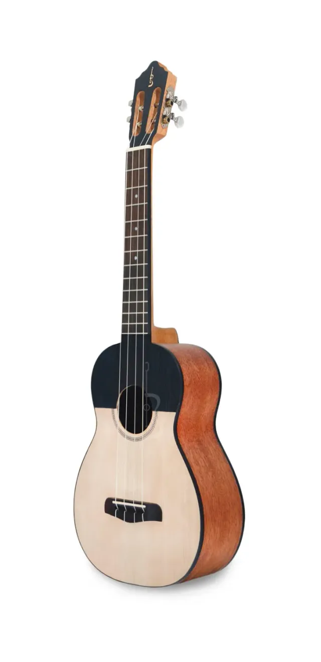 APC CUA100 Cuatro Fichte Sapelli 4-saitig
