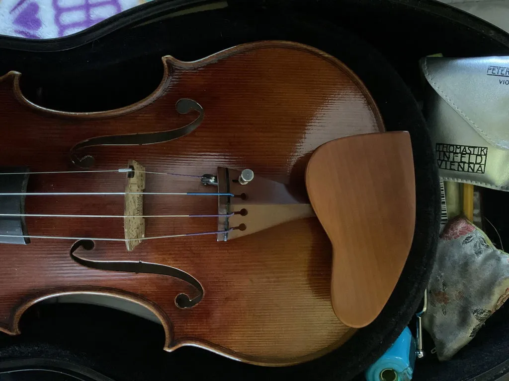 Shar Berber Kinnhalter Violine Buchsbaum mittel 28 mm