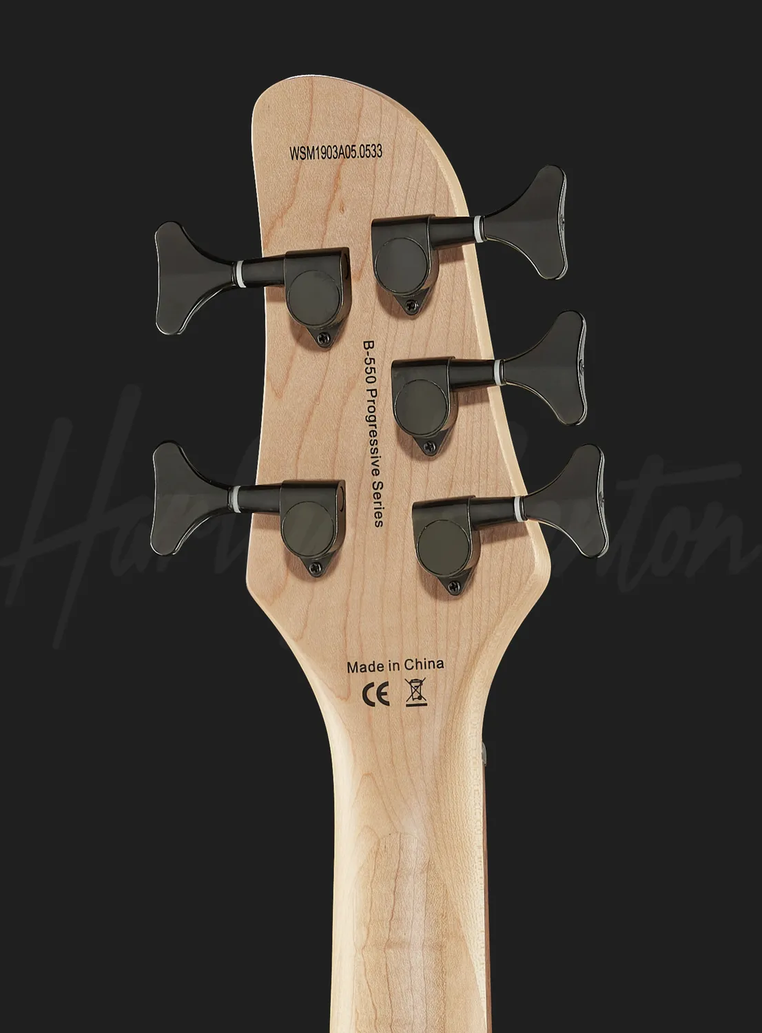 Harley Benton Pro B-550FL E-Bass 5-Saiter Fretless Schwarz