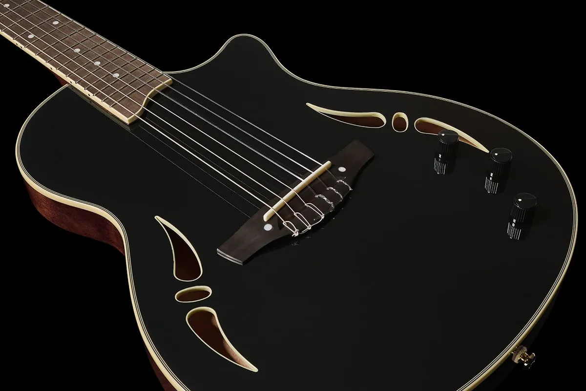 Harley Benton Santos Nashville Nylon Konzertgitarre Schwarz Nylon