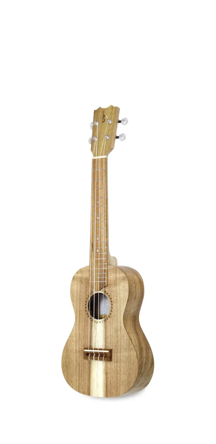 APC CS Cavaquinho massives Koa Kleinformat