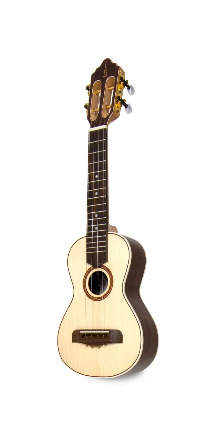 APC BRA Luthier Viola Braguesa Fichte Palisander