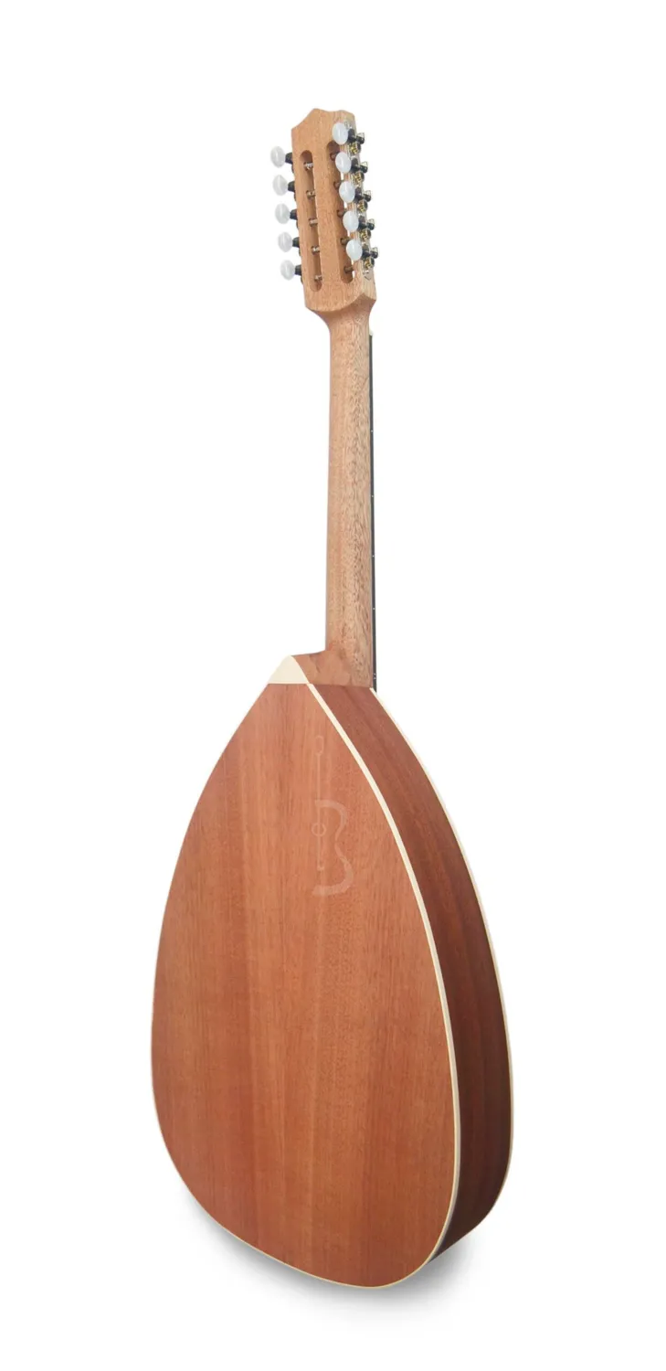 APC MON307 C10 Mandoline Fichte Sapelli