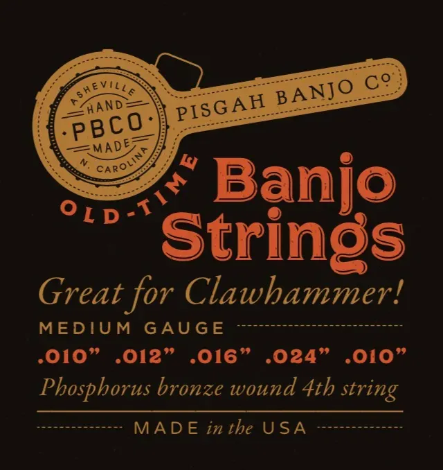 Pisgah Banjo Saiten Satz 5-String Stahlsaiten