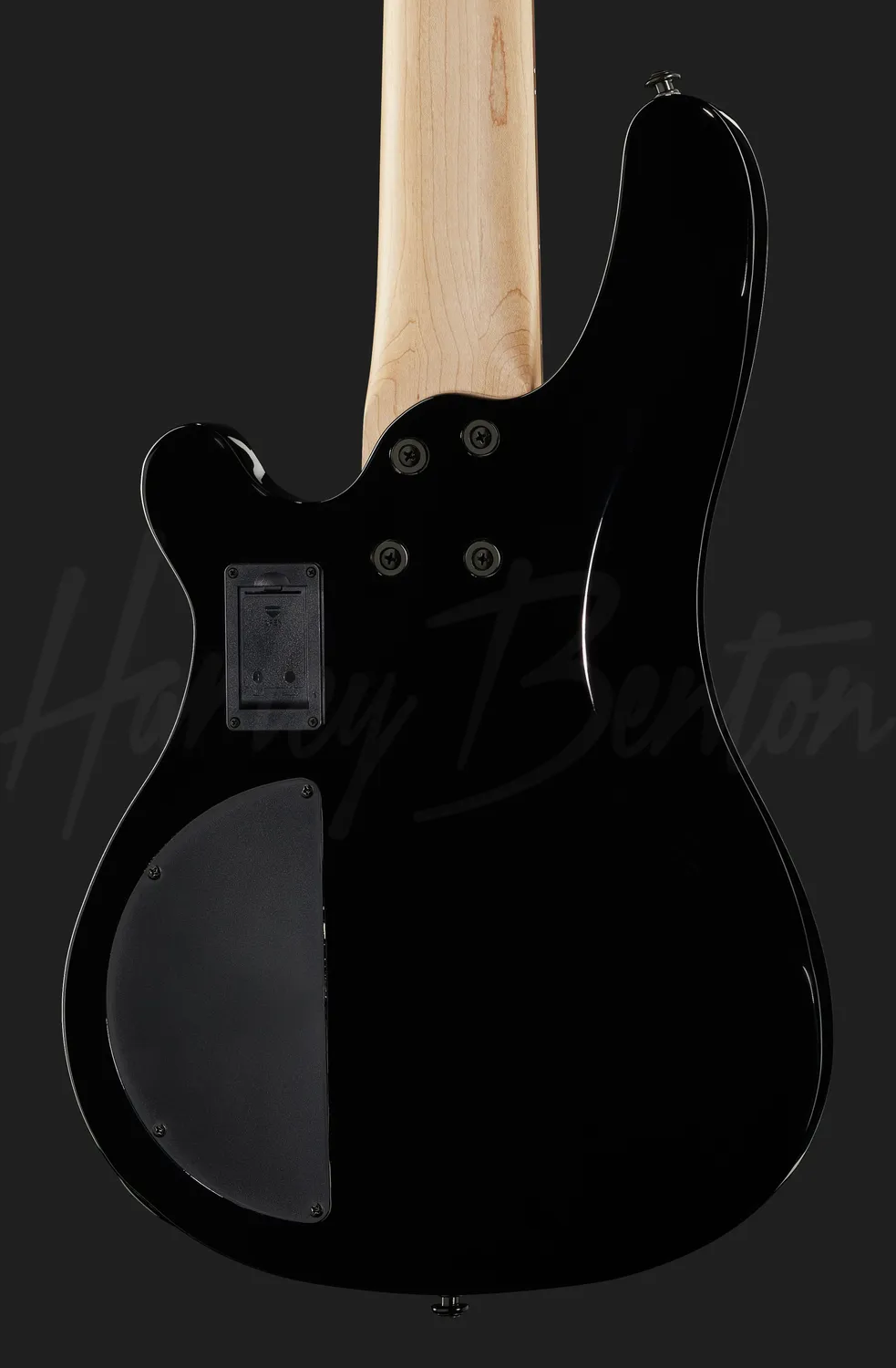Harley Benton Pro B-550FL E-Bass 5-Saiter Fretless Schwarz