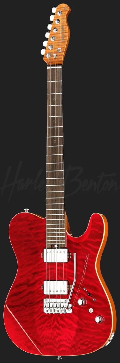 Harley Benton Fusion-T II HH RW QRB E-Gitarre Zebra