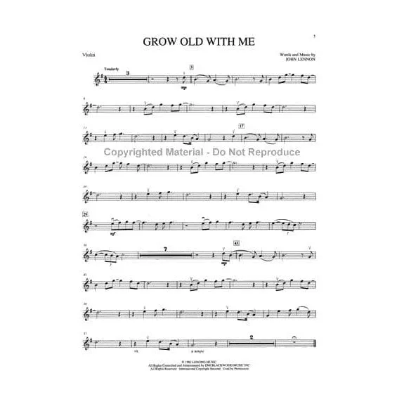 Hal Leonard Wedding Violin Solos Noten Violine Klavier Audio