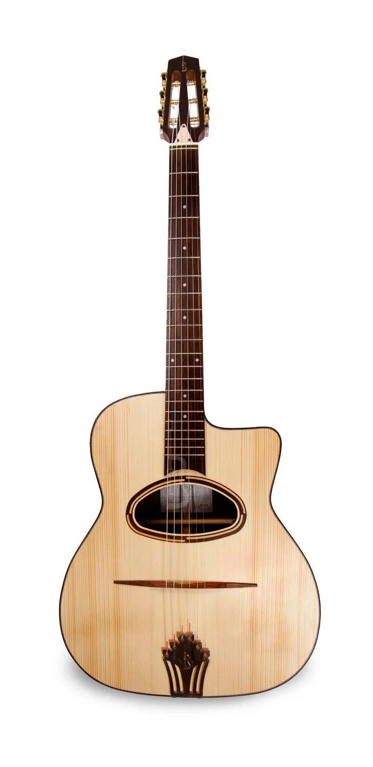 APC JMD300 PSI Gitarre Palisander massiv offenporig