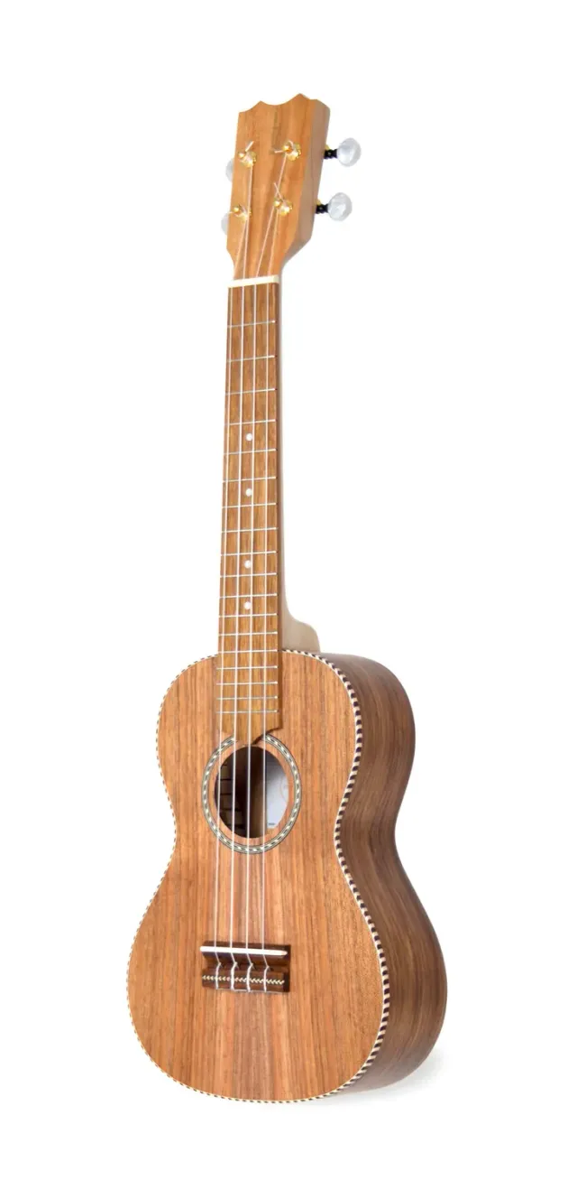 APC CT Cavaquinho Koa massiv offenporig
