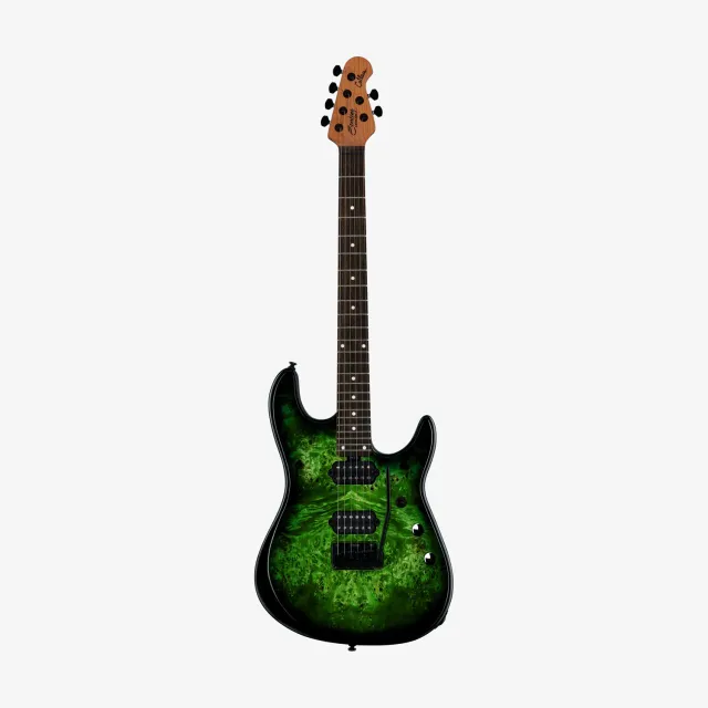 Sterling Artist Richardson 6 E-Gitarre Kokiri Forest 6-saitig
