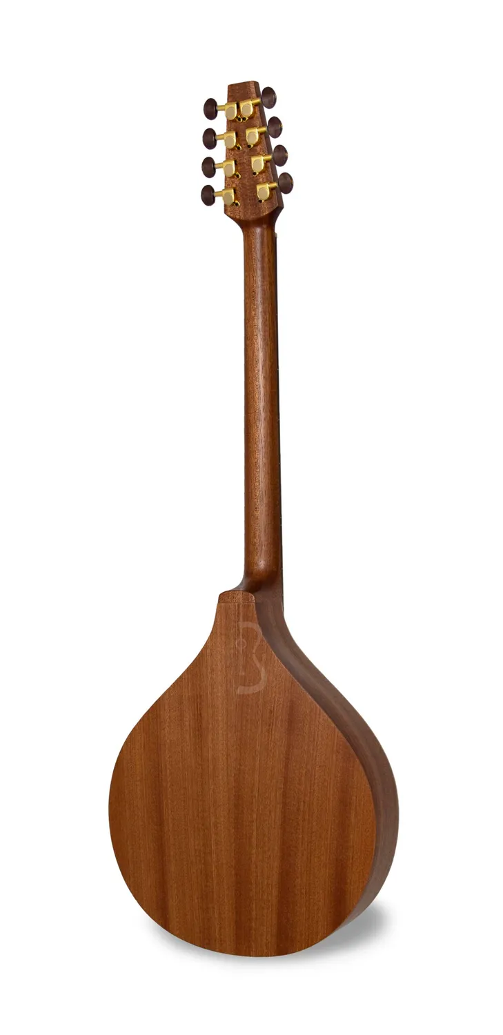 APC IRB305 Irish Bouzouki Fichte massiv Sapelli
