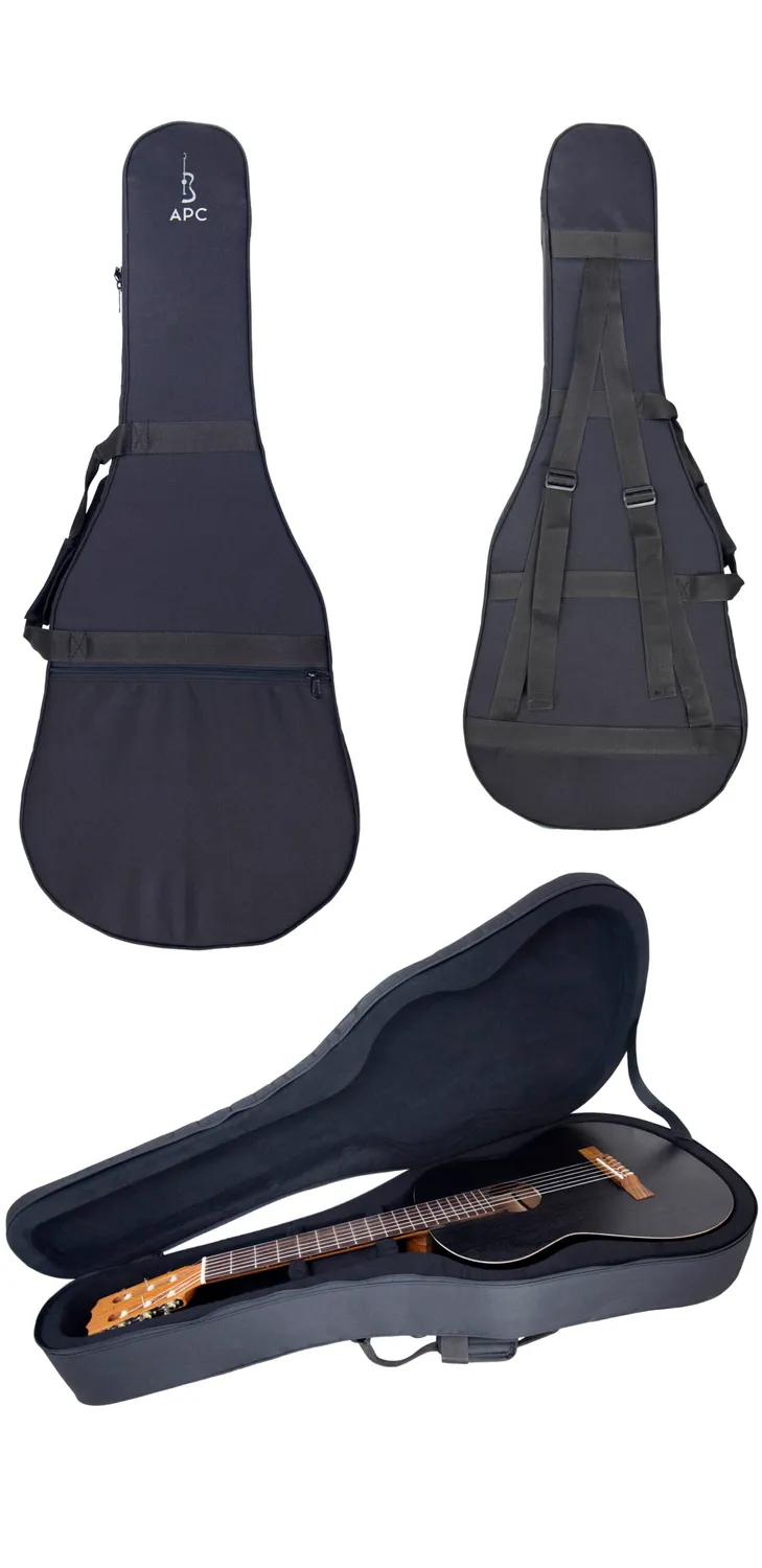 APC CGS 312 Gitarre massiv Palisander Koffer