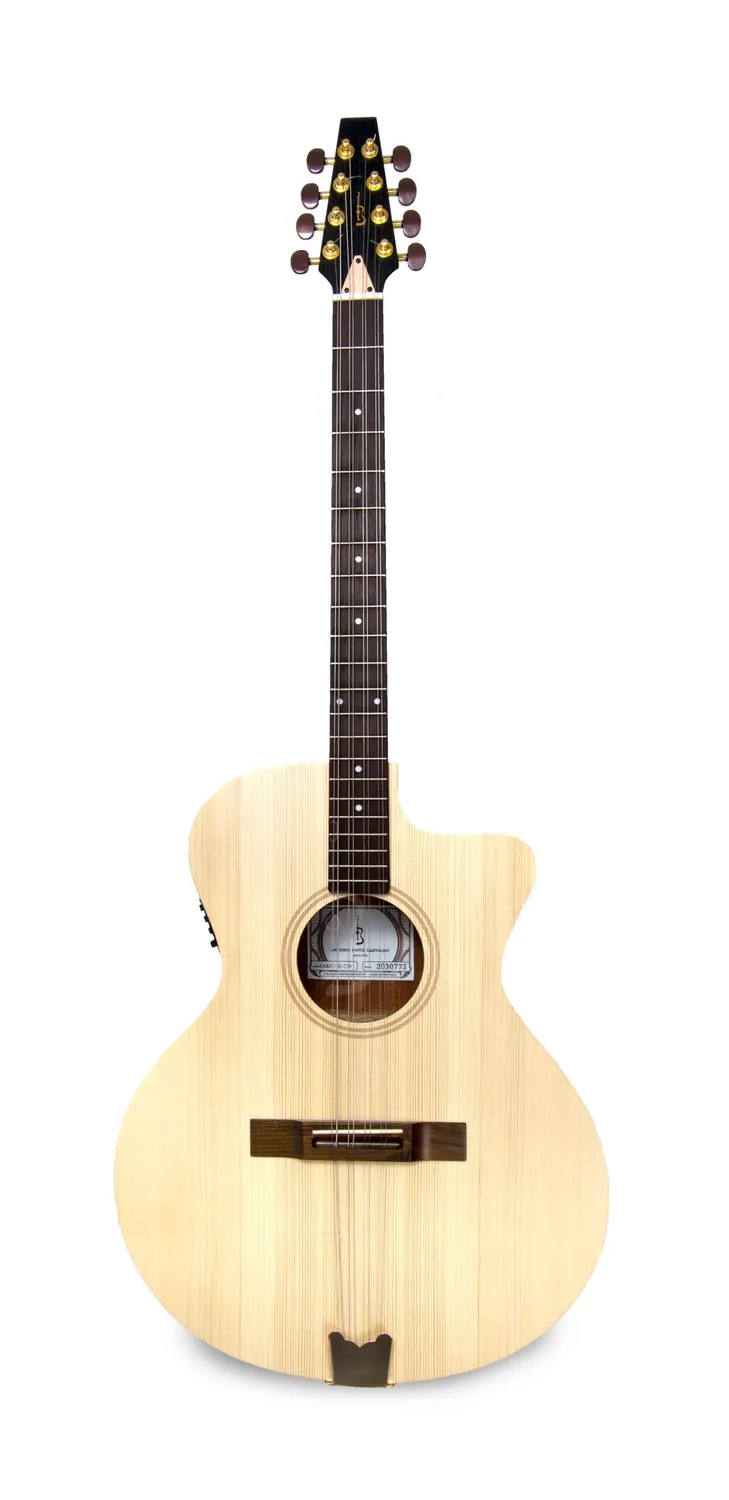 APC EABZK100 CW Bouzouki Cutaway