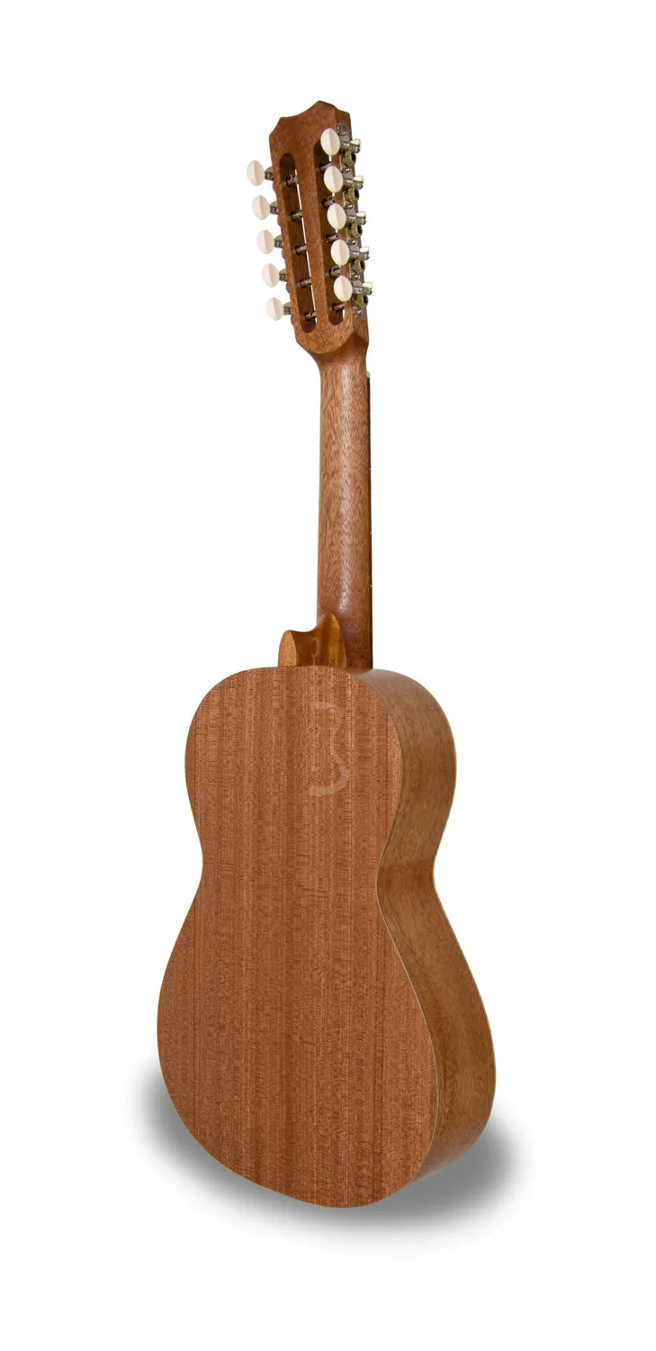 APC VTR AMA Viola Fichte massiv Sapelli