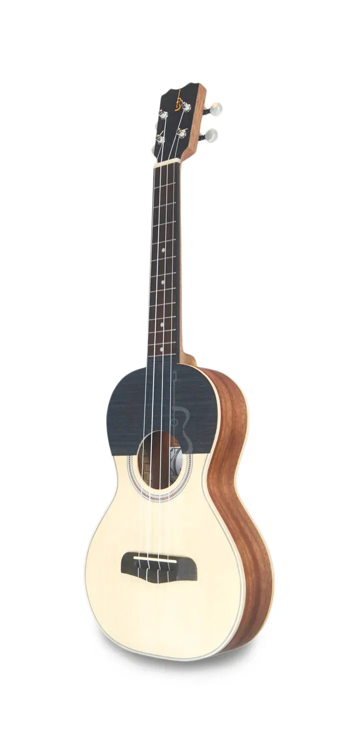 APC GUI307 Akustikgitarre Fichte massiv