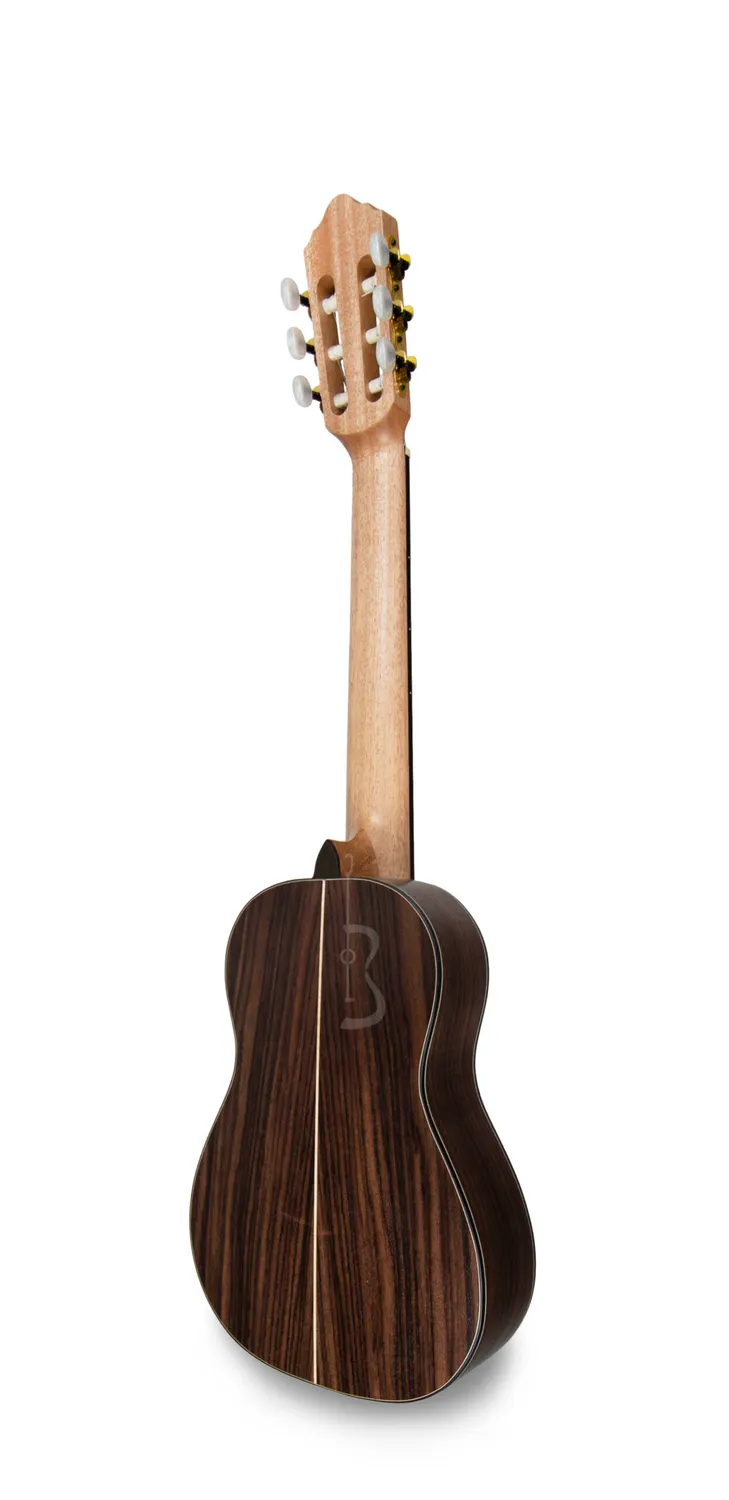 APC TR300 PSI NY Gitarre Nylon Palisander