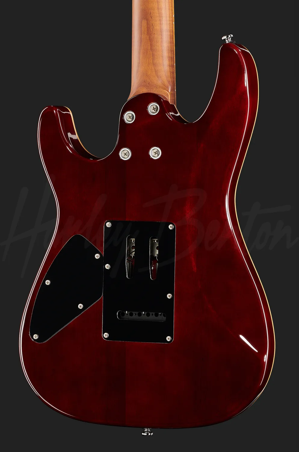 Harley Benton Fusion-III HSS E-Gitarre Roasted FNT
