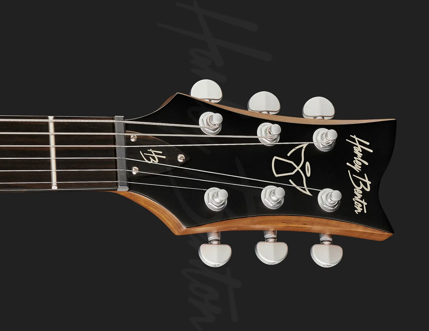 Harley Benton Pro Series Agufish STD E-Gitarre Black Satin