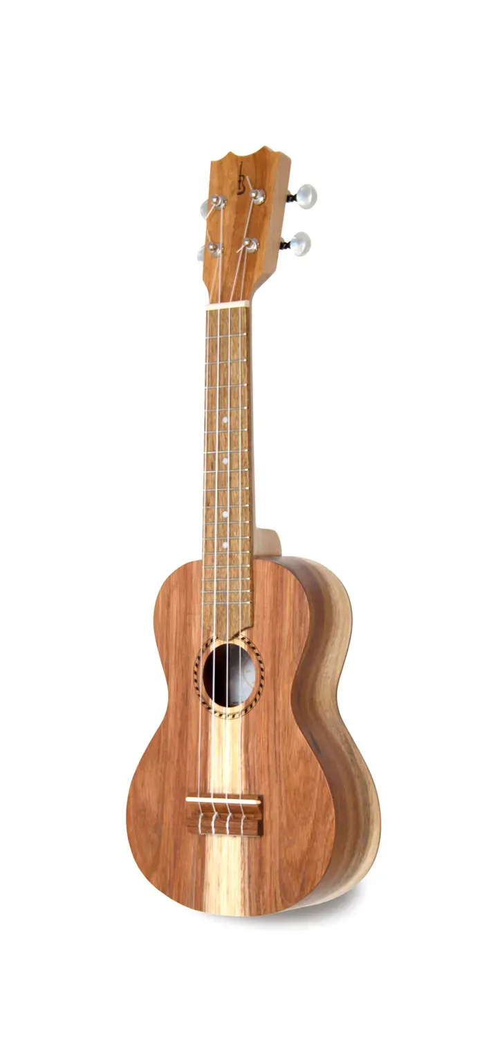 APC instruments SS Saiteninstrument Koa massiv offenporig