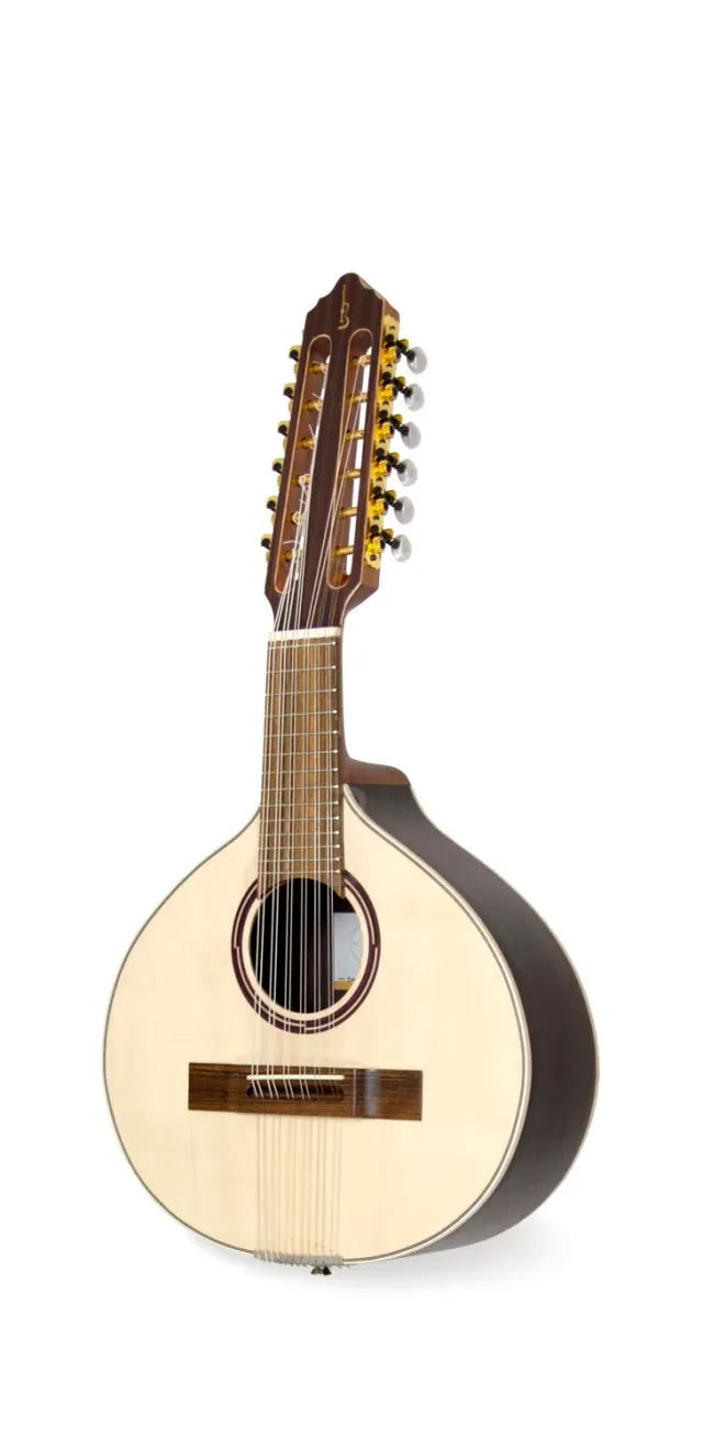 APC BAND312 Bandola Fichte Palisander massiv