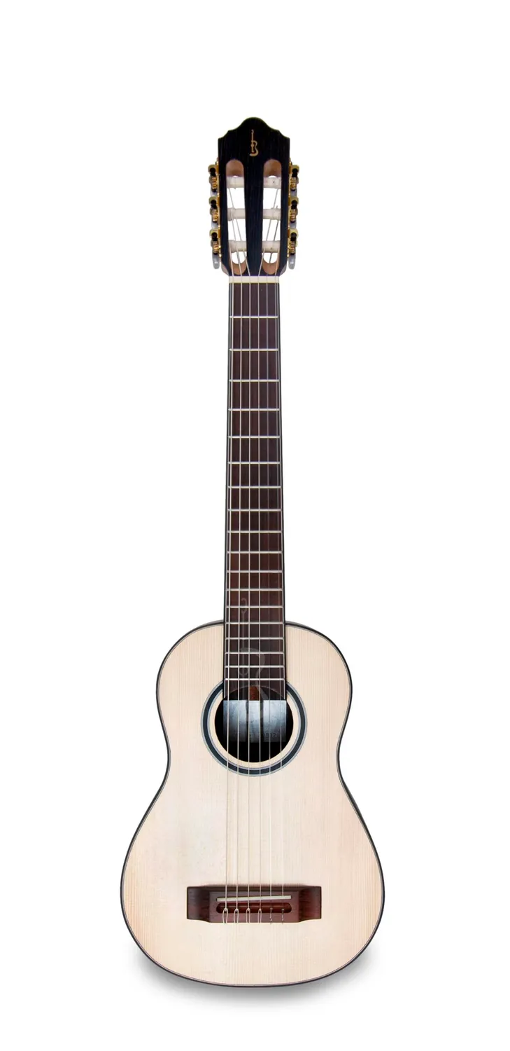 APC TR300 PSI NY Gitarre Nylon Palisander