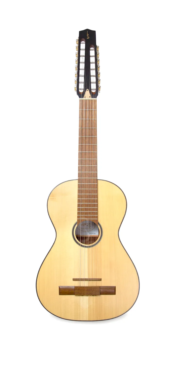 APC VTR T15 Viola Fichte Sapelli 10-saitig