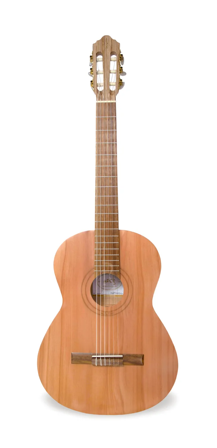 APC EUC C Ukulele Konzert Zeder Eukalyptus