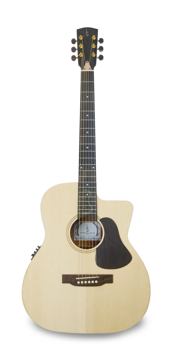 APC GA100 CW Akustikgitarre Fichte massiv Cutaway
