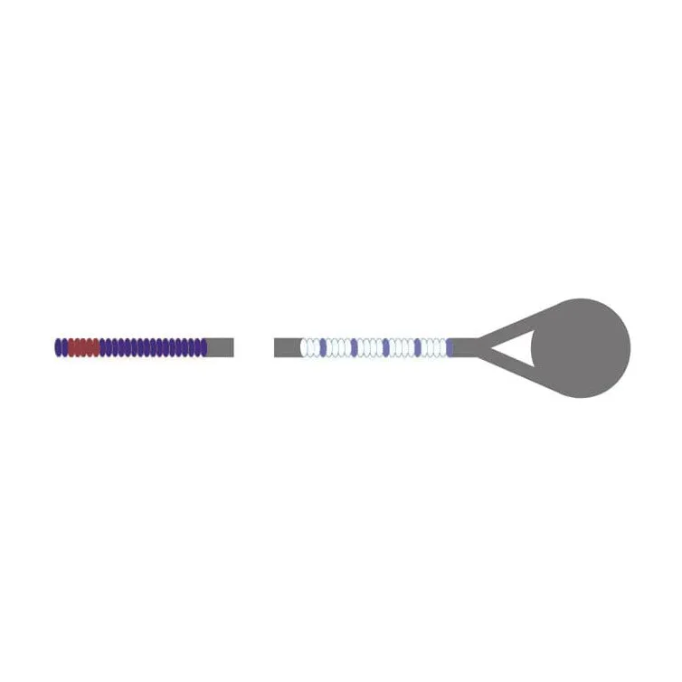 Pirastro Eudoxa Bratschensaite C-Stiff 21.5 für 15-17 Zoll