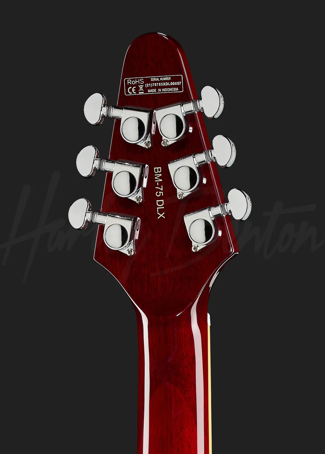 Harley Benton Standard Series BM-75 E-Gitarre Rot Mahagoni