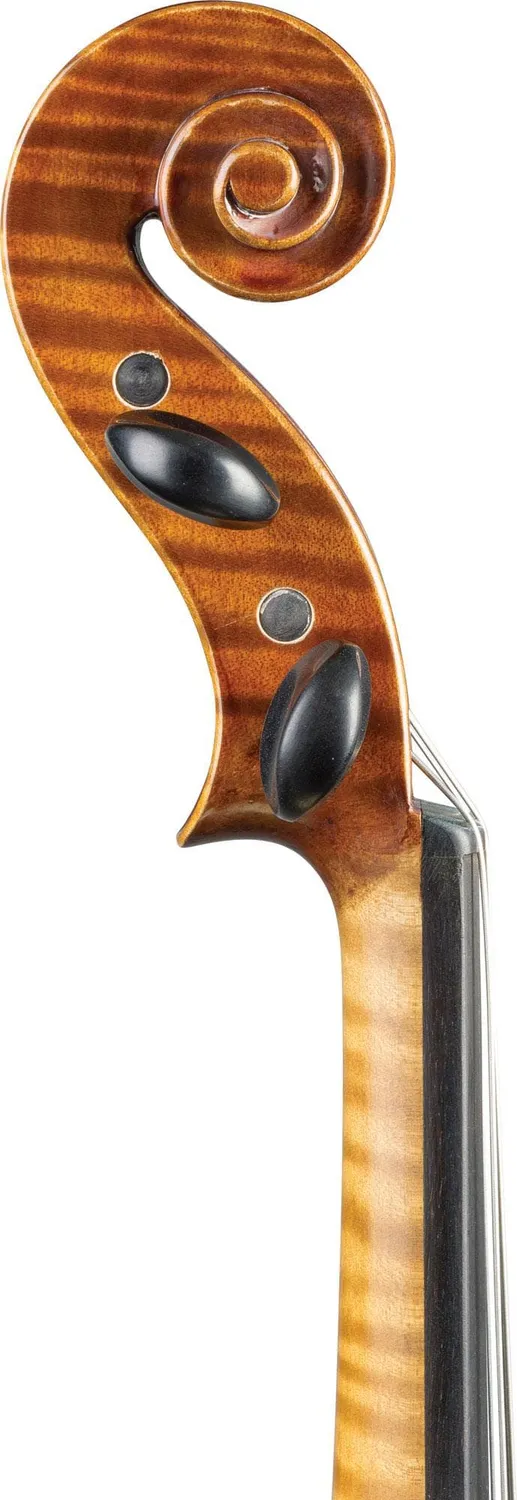 Carlo Lamberti Sonata 15,5" Bratsche gebraucht Ebenholz