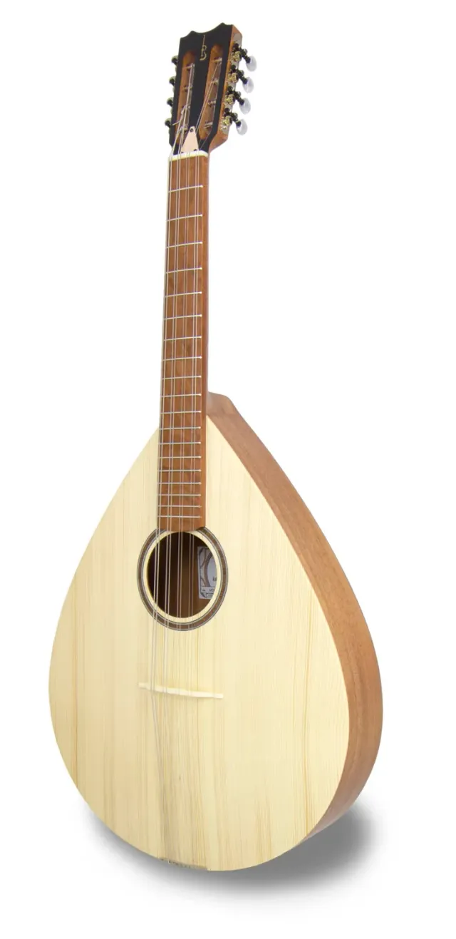 APC MDO305 Mandola Fichte massiv