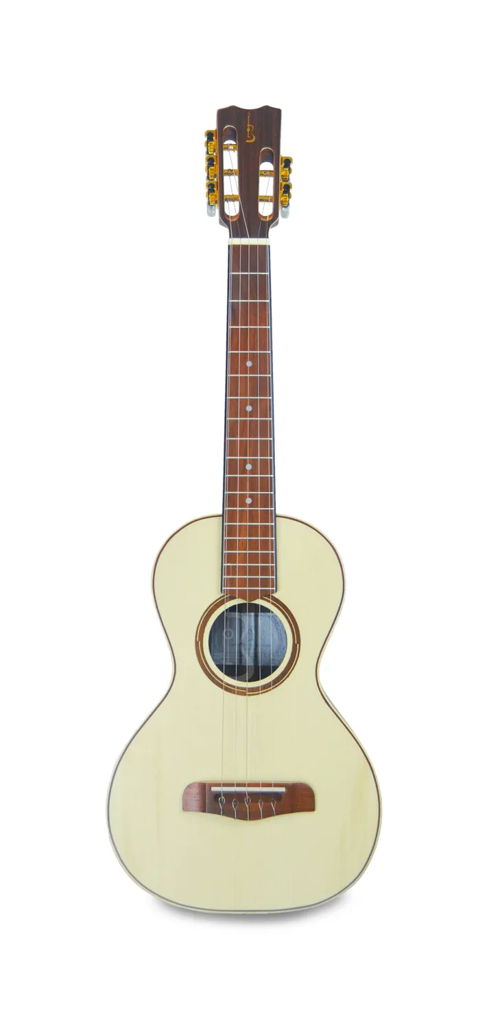 APC Luthier RAJ Rajão Fichte massiv