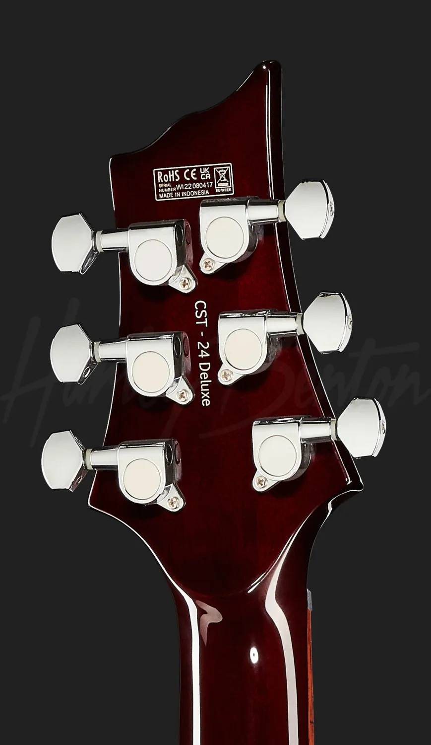 Harley Benton CST-24HB Tortoise Flame E-Gitarre halbakustisch