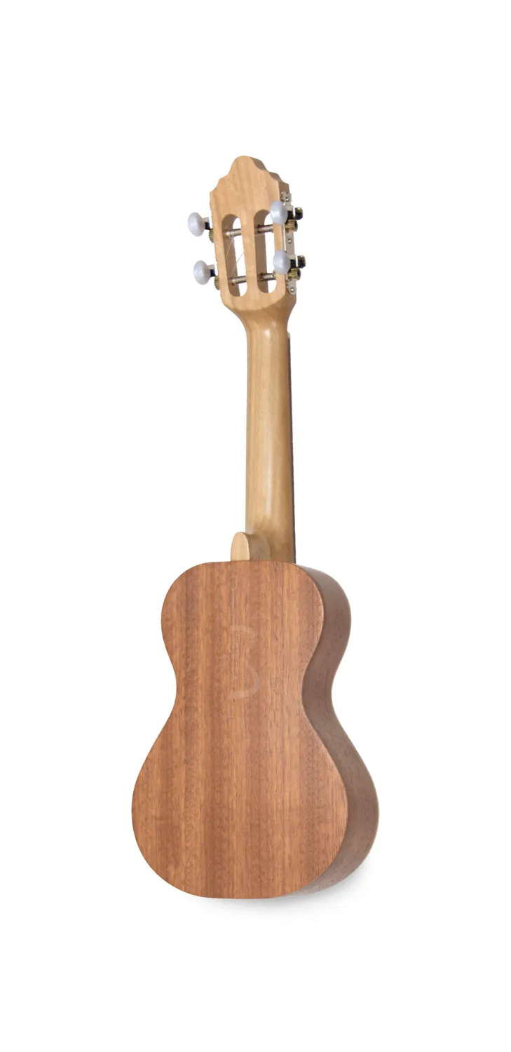APC 555 NY Viola Braguesa Fichte Sapelli