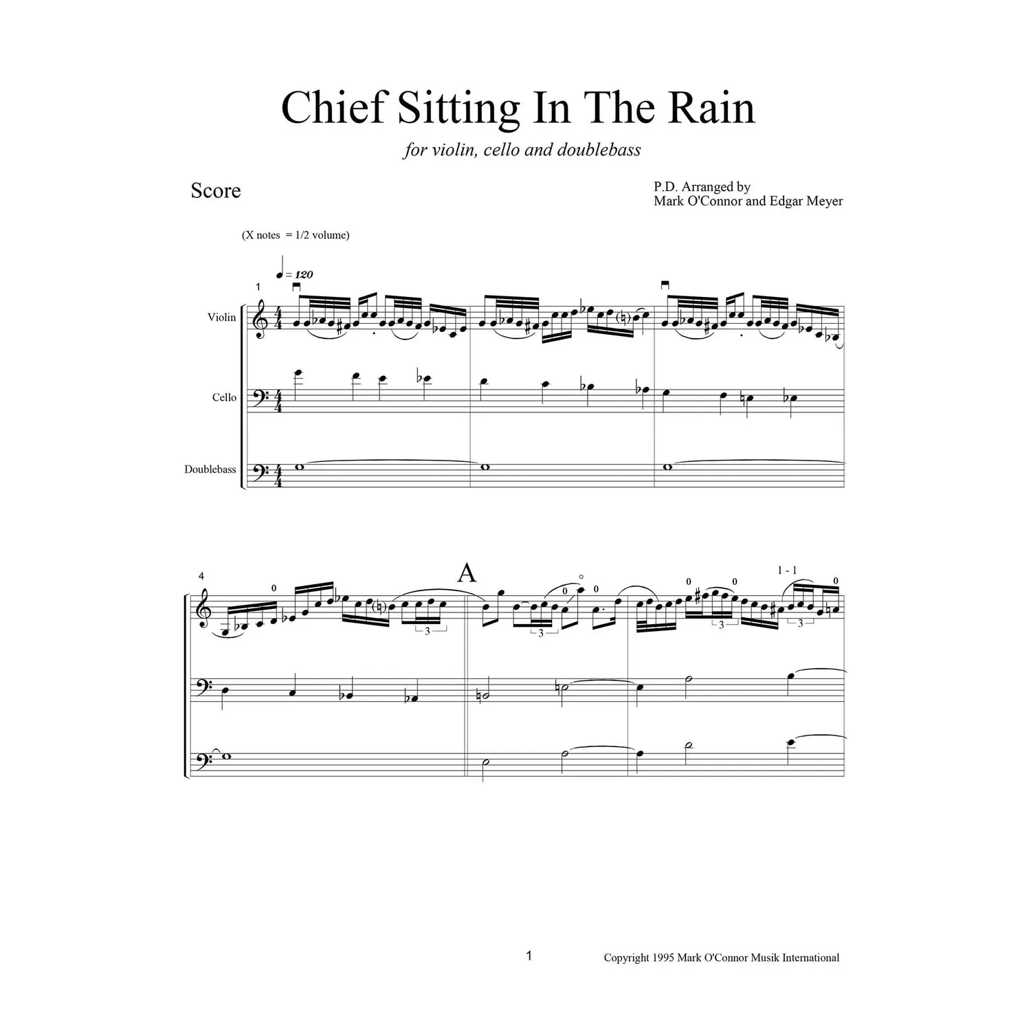 O'Connor Chief Sitting in Rain Noten Download Trio