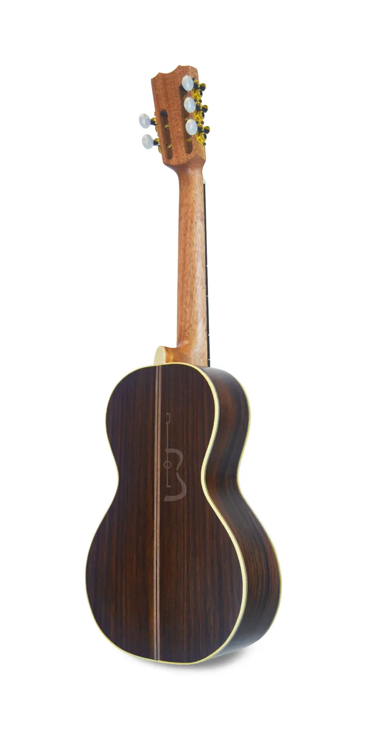 APC Luthier RAJ Rajão Fichte massiv