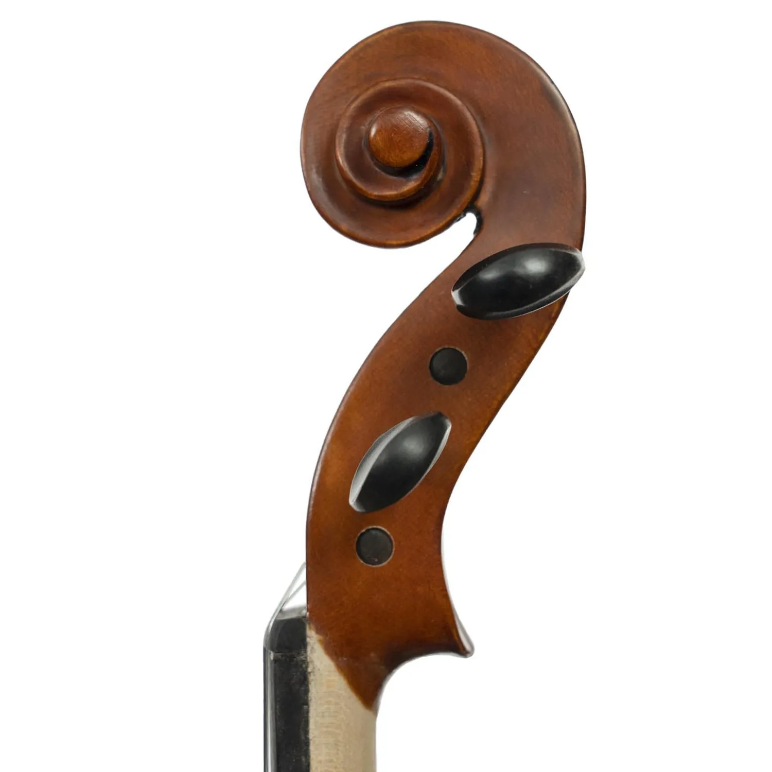 Franz Hoffmann Danube Violine 4/4 Öllack Fichte Ahorn